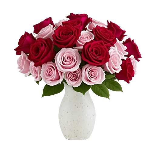 Crimson Rose Elegance