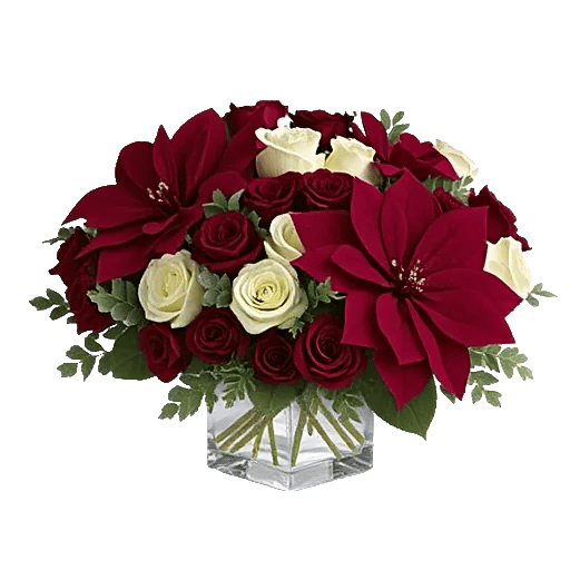 Petal Radiance Bliss