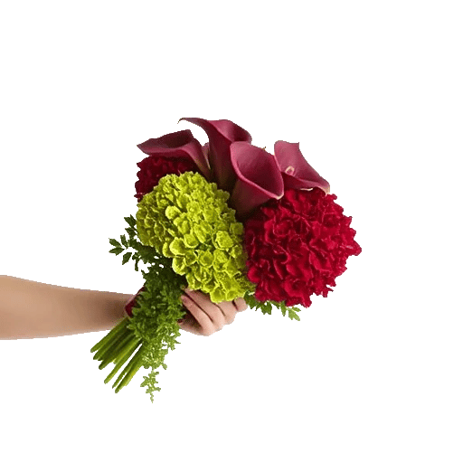 Elegant Calla Lilies