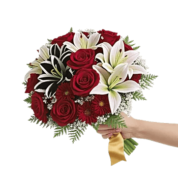 Crimson Rose Elegance