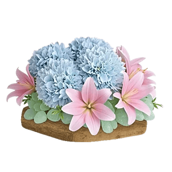 Blooming Serenity Display