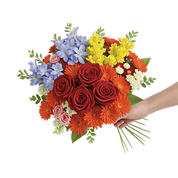 Crimson Rose Elegance