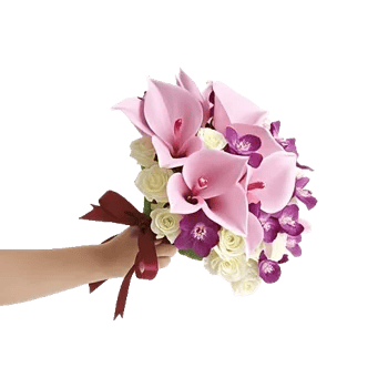 Elegant Calla Lilies