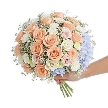 Pastel Pink Roses