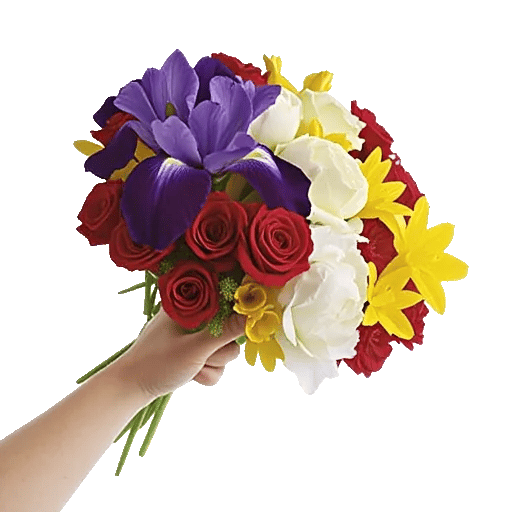 Ivory Blossom Radiance