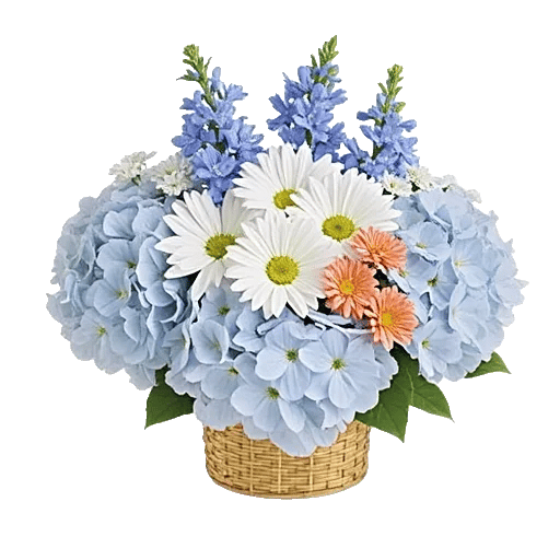 Serene Petal Harmony