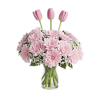 Pink Pastel Roses