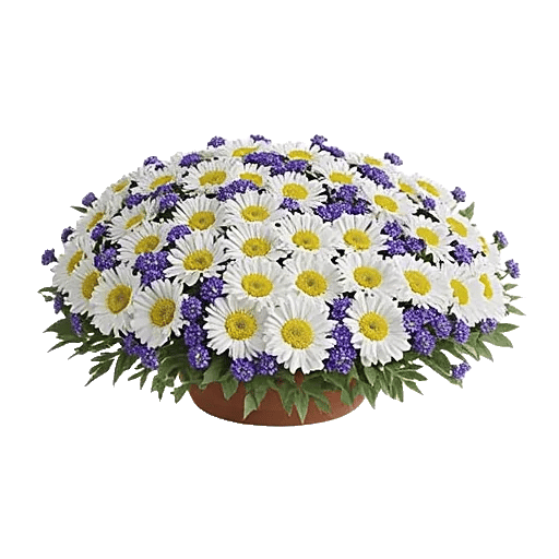 Blush Romantic Centerpiece