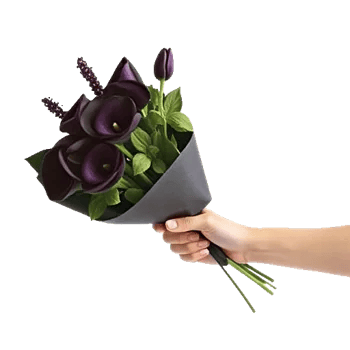 Elegant Calla Lilies