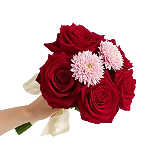 Crimson Rose Elegance