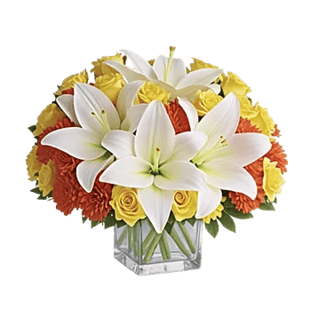 Graceful Lily Display