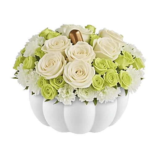 Minimalist White Orchids