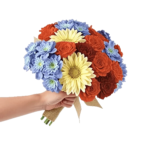 Blossom Petal Serenity