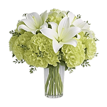 Ivory Blossom Radiance