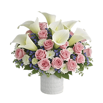 Elegant Calla Lilies