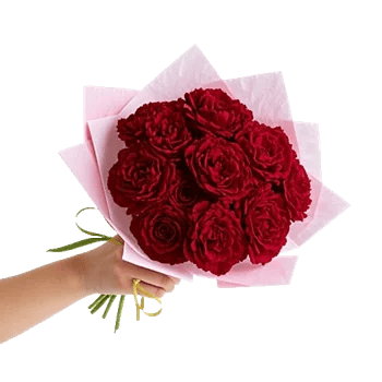 Crimson Rose Elegance