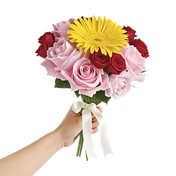 Petal Harmony Bliss