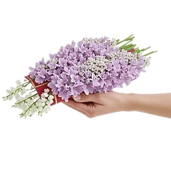 Ivory Blossom Radiance