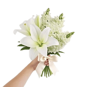 Graceful Lily Display