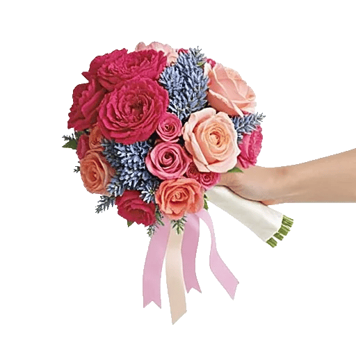 Delicate Petal Cascade