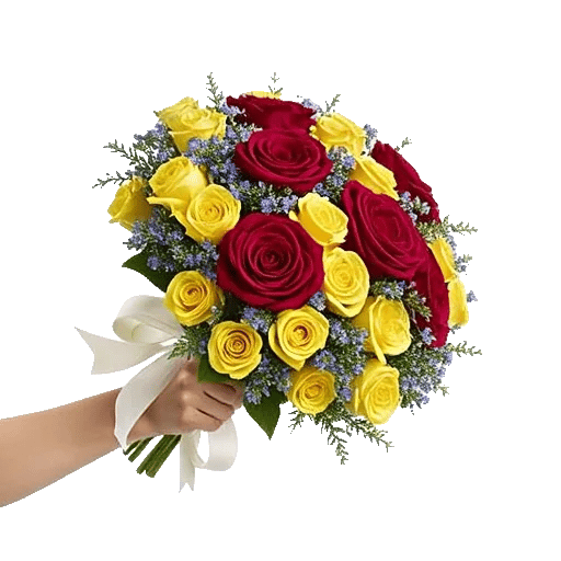 Crimson Rose Elegance