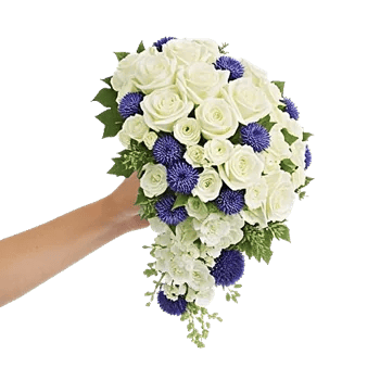 Delicate Petal Cascade