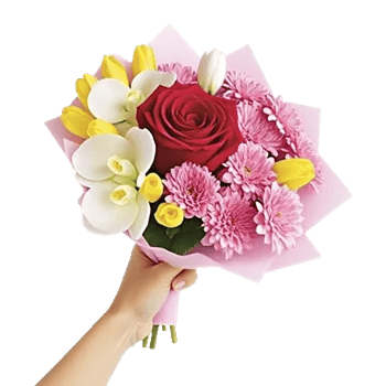 Crimson Rose Elegance