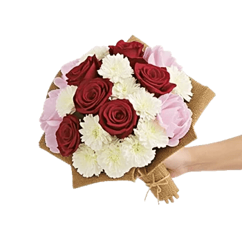 Crimson Rose Elegance