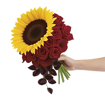 Radiant Bloom Cascade