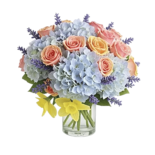 Serene Petal Harmony