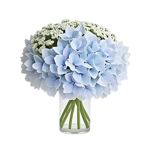 Ivory Blossom Radiance