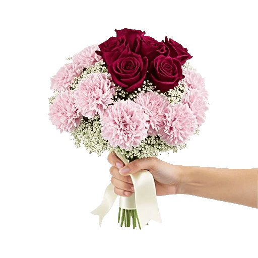 Pastel Pink Roses