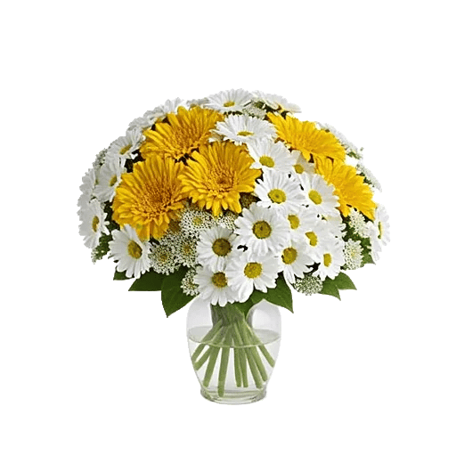Golden Petal Harmony