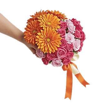 Radiant Bloom Cascade