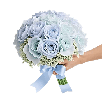Sapphire Bloom Whisper