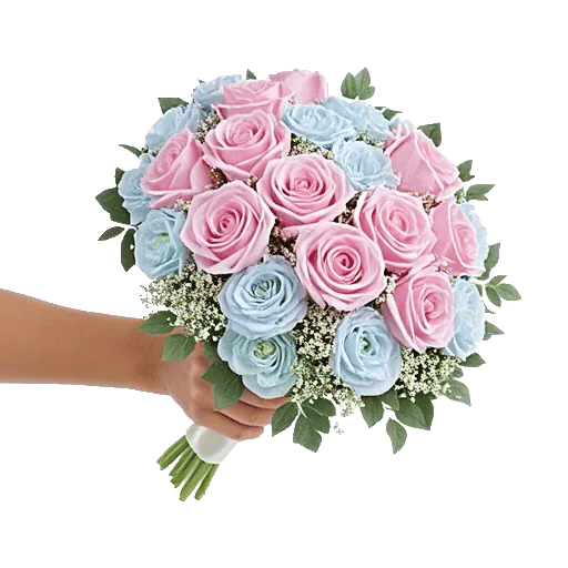 Pastel Pink Roses