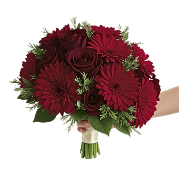 Crimson Rose Elegance