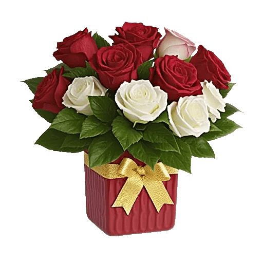 Crimson Rose Elegance