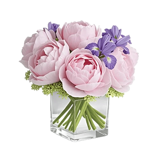 Ivory Blossom Radiance