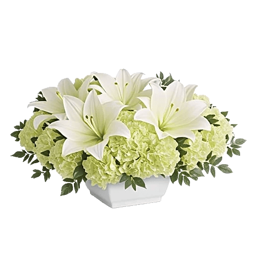 Graceful Lily Display