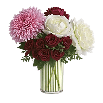 Petal Radiance Bliss