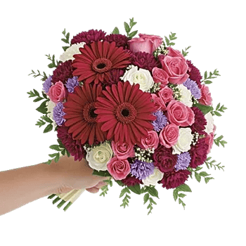 Petal Harmony Bliss