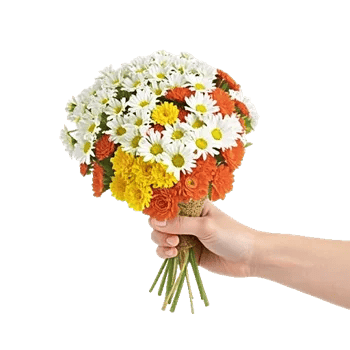 Delicate Petal Cascade