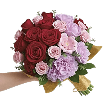 Crimson Rose Elegance