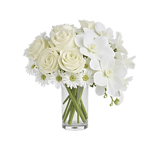 Orchid Bloom Cascade