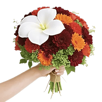 Delicate Petal Cascade