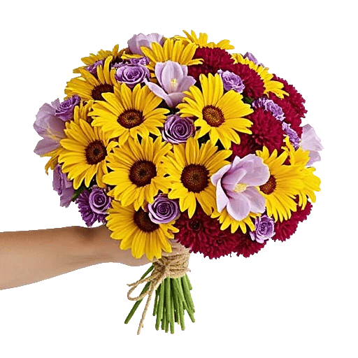 Ruby Garden Splendor