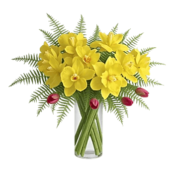 Orchid Bloom Cascade