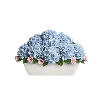 Serene Petal Harmony