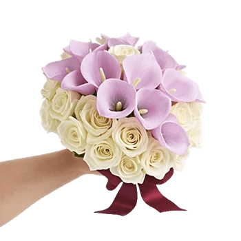 Elegant Calla Lilies